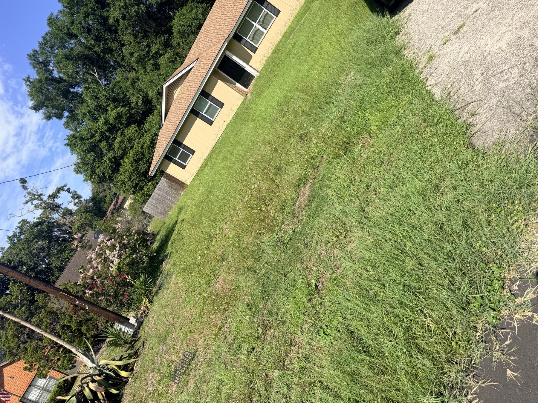 Lawn before WaterBoy Landscaping service