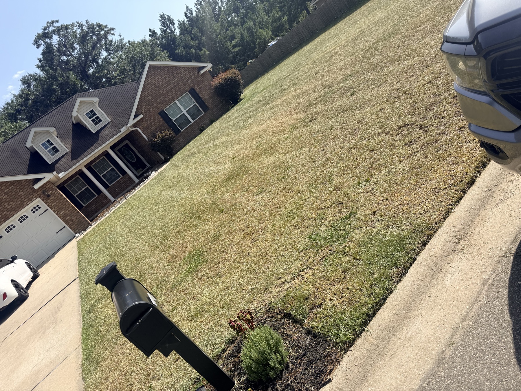 Residential lawn service